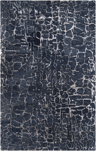 Surya Banshee BAN-3306 Area Rug