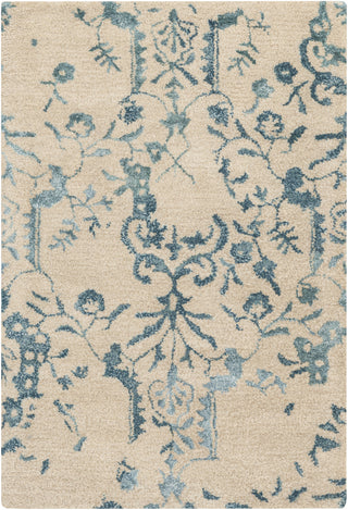 Surya Banshee BAN-3326 Teal Area Rug 2' x 3'