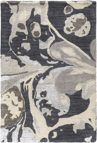 Surya Banshee BAN-3361 Charcoal Area Rug 2' x 3'