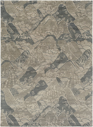 Surya Banshee BAN-3368 Area Rug 8' x 11'