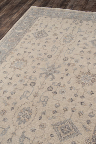 Momeni Banaras BNR-3 Beige Area Rug Corner Image 