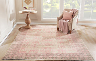 Momeni Banaras BNR-5 Pink Area Rug Main Image Feature