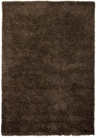 Chandra Barun BAR-21301 Brown/Purple/Gold Area Rug main image