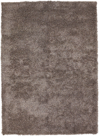 Chandra Barun BAR-21303 Grey/Ivory/Charcoal Area Rug main image