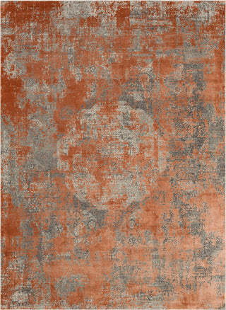 Karastan Tryst Bari Terra Area Rug main image