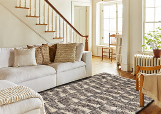 NuStory Bovina Barred Turkey Feathers Brown Area Rug by Newell Turner 