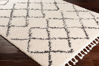 Surya Berber Shag BBE-2300 Area Rug Corner Shot
