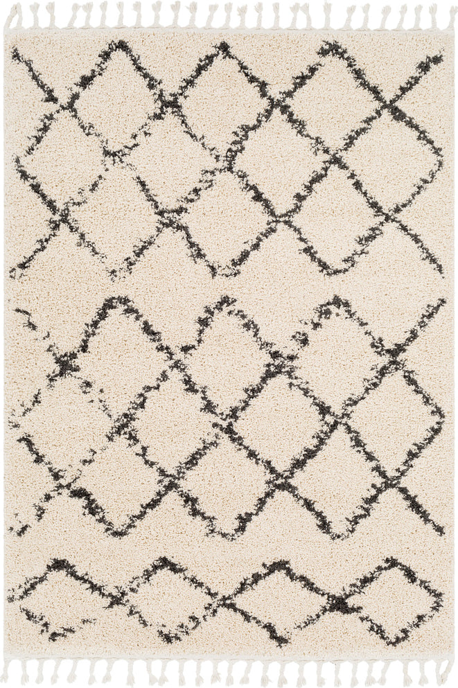Surya Berber Shag BBE-2300 Charcoal Beige Area Rug main image