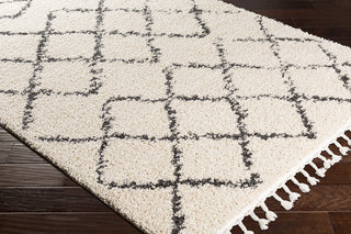 Surya Berber Shag BBE-2300 Charcoal Beige Area Rug Corner Image