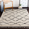 Surya Berber Shag BBE-2300 Area Rug Room Scene