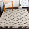 Surya Berber Shag BBE-2300 Area Rug Room Image Feature