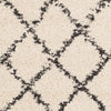 Surya Berber Shag BBE-2300 Area Rug Swatch