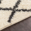 Surya Berber Shag BBE-2300 Area Rug Detail