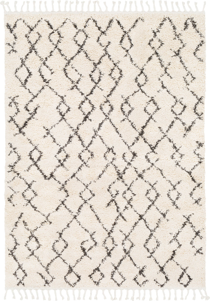 Surya Berber Shag BBE-2301 Charcoal Beige Area Rug main image