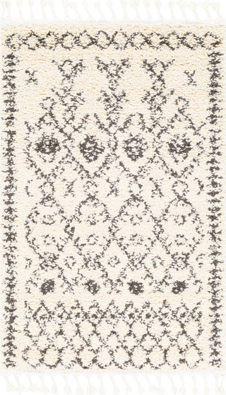 Surya Berber Shag BBE-2302 Area Rug Main