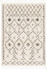 Surya Berber Shag BBE-2302 Charcoal Beige Area Rug main image
