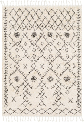 Surya Berber Shag BBE-2302 Charcoal Beige Area Rug main image