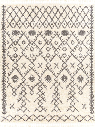 Surya Berber Shag BBE-2302 Area Rug Main