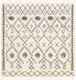 Surya Berber Shag BBE-2302 Area Rug Main