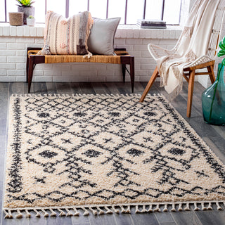 Surya Berber Shag BBE-2302 Area Rug Room Scene