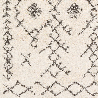 Surya Berber Shag BBE-2302 Area Rug Swatch