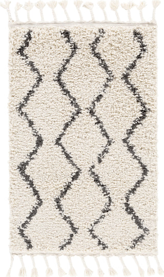 Surya Berber Shag BBE-2303 Area Rug Main