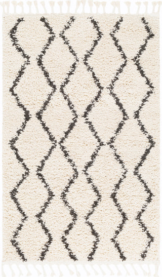 Surya Berber Shag BBE-2303 Area Rug Main