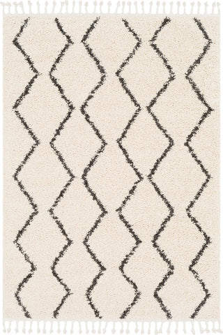 Surya Berber Shag BBE-2303 Charcoal Beige Area Rug main image