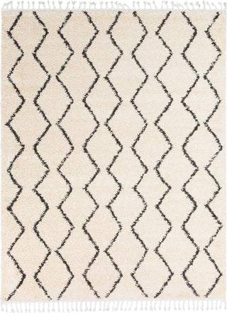 Surya Berber Shag BBE-2303 Area Rug Main