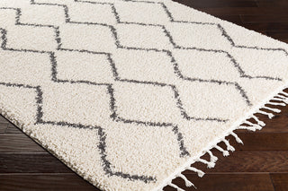 Surya Berber Shag BBE-2303 Charcoal Beige Area Rug Corner Image