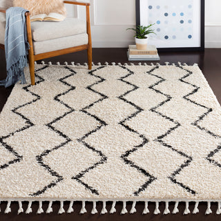 Surya Berber Shag BBE-2303 Area Rug Room Image Feature