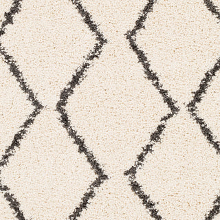 Surya Berber Shag BBE-2303 Area Rug Swatch