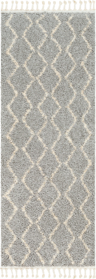 Surya Berber Shag BBE-2304 Area Rug 