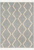 Surya Berber Shag BBE-2304 Area Rug main image