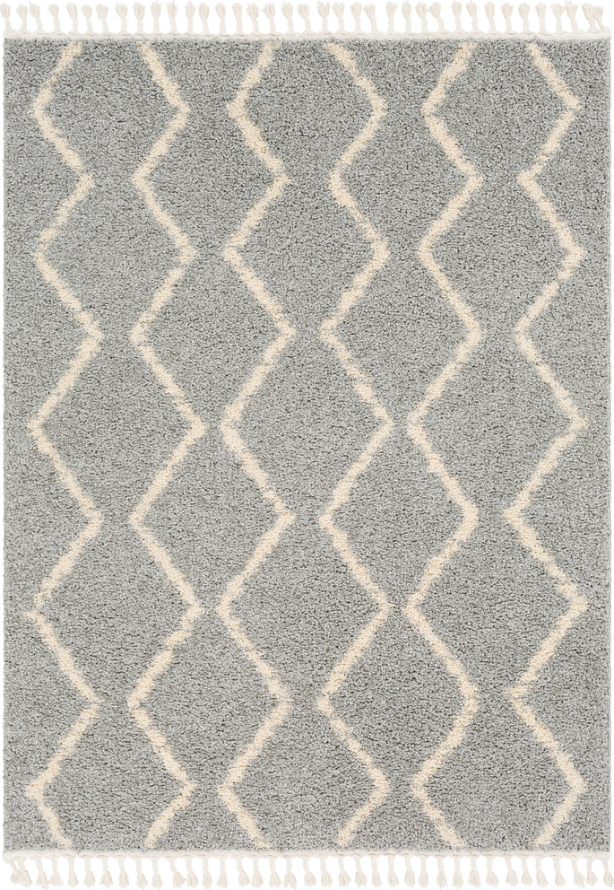 Surya Berber Shag BBE-2304 Area Rug main image