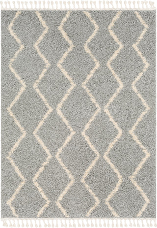 Surya Berber Shag BBE-2304 Area Rug main image