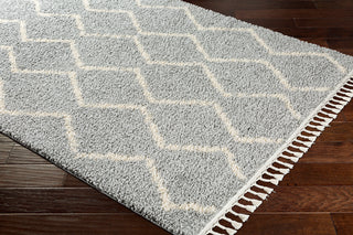 Surya Berber Shag BBE-2304 Area Rug Corner Shot