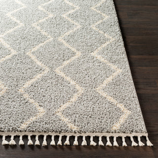 Surya Berber Shag BBE-2304 Area Rug 