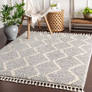 Surya Berber Shag BBE-2304 Area Rug Room Scene Feature