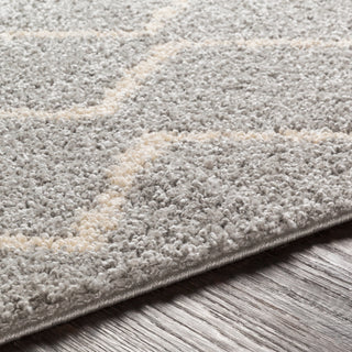 Surya Berber Shag BBE-2304 Area Rug Detail