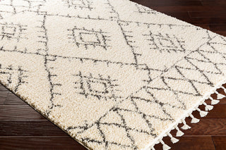 Surya Berber Shag BBE-2305 Area Rug Corner Shot