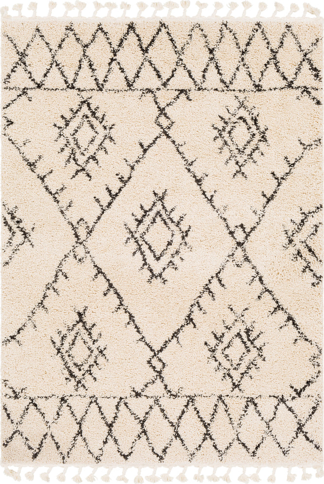 Surya Berber Shag BBE-2305 Charcoal Beige Area Rug main image
