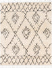 Surya Berber Shag BBE-2305 Area Rug Main