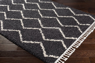Surya Berber Shag BBE-2306 Area Rug