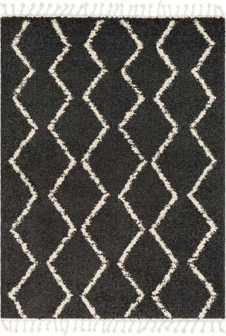 Surya Berber Shag BBE-2306 Area Rug main image