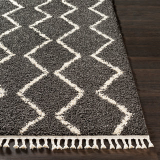 Surya Berber Shag BBE-2306 Area Rug 