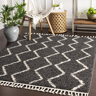 Surya Berber Shag BBE-2306 Area Rug