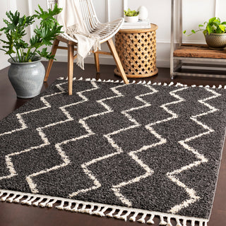 Surya Berber Shag BBE-2306 Area Rug Room Scene Feature