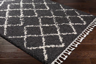 Surya Berber Shag BBE-2307 Area Rug
