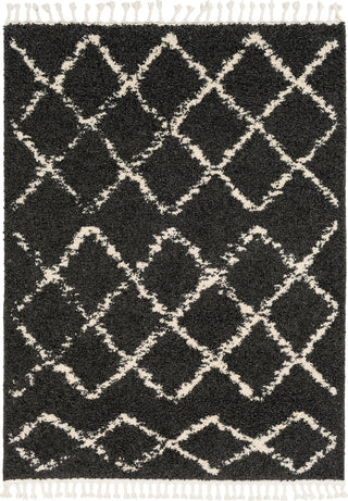 Surya Berber Shag BBE-2307 Area Rug main image